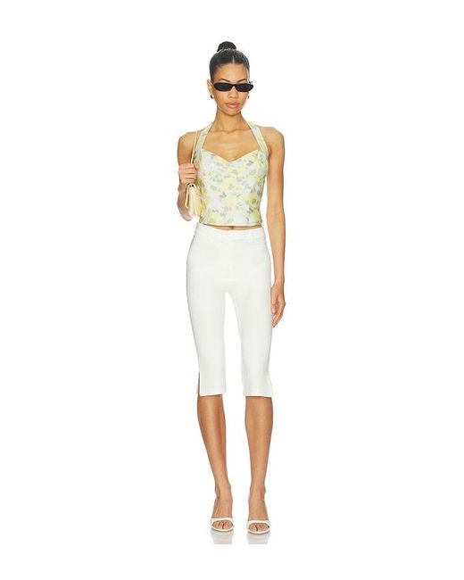 Bardot Multicolor Deserae Halter Neck Top