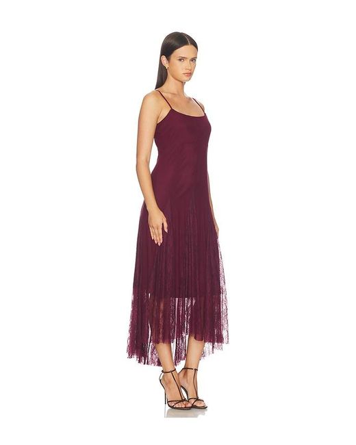 Steve Madden Purple Vita Dress