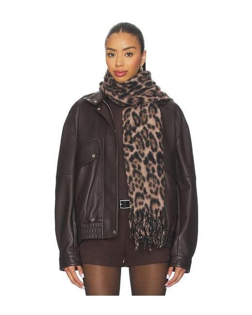 ÉCHARPE LEOPARD en Brown. Hat Attack