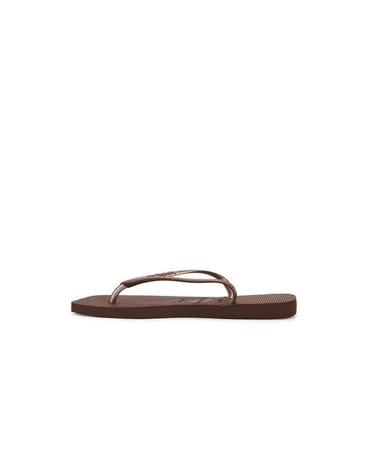 Havaianas Brown Slim Square Sandal