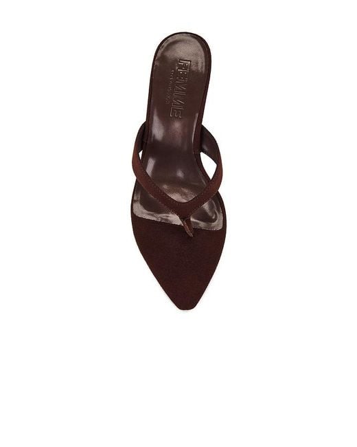 Femme LA Brown Tokyo Thong Sandal
