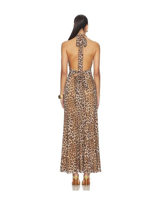 Bardot Natural Elera Printed Mesh Maxi Dress