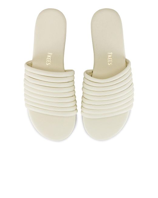 tkees caro black