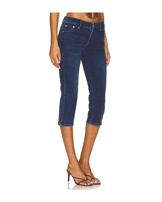 Miaou Blue Hose Kelly