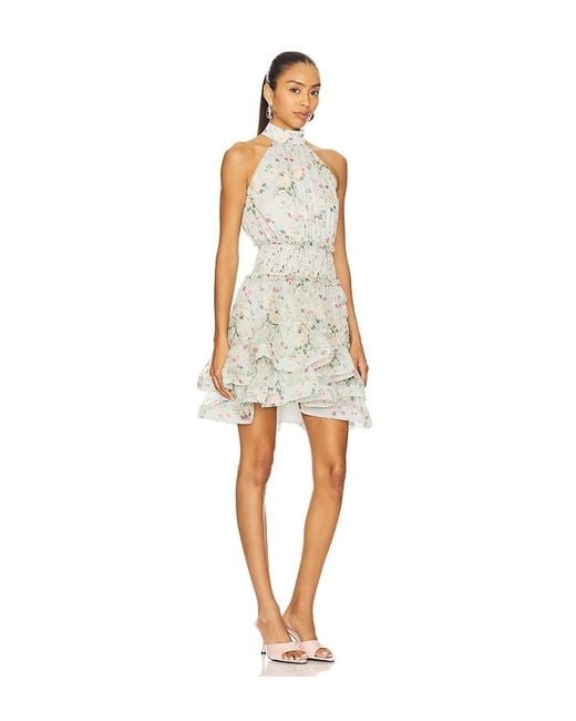 Elliatt Natural Milena Mini Dress