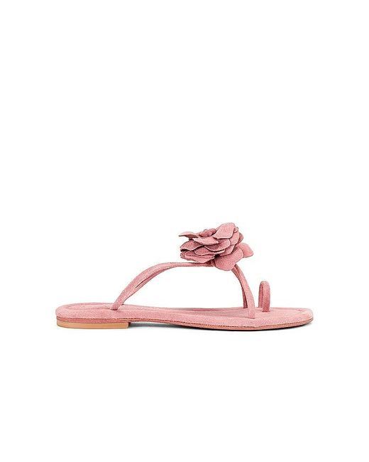 Jeffrey Campbell Pink Tropico Sandal