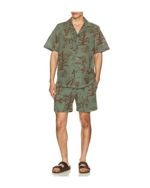 Oas Green Porto Shorts for men