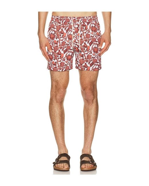 ARRELS Barcelona Red Kabak X Lazaro Rosa Violan Classic Swim Shorts for men