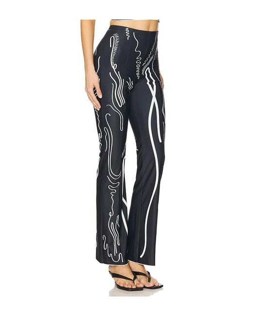 DI PETSA Blue Venus Shell Lycra Trousers