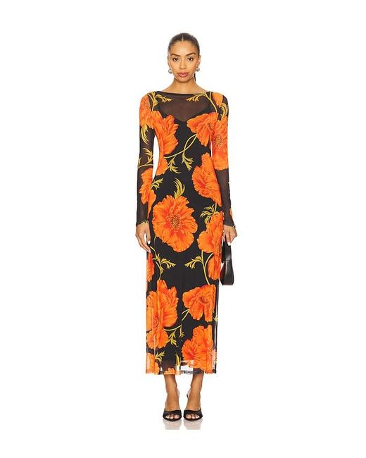 Never Fully Dressed Poppy Mesh Dress in Orange | Lyst