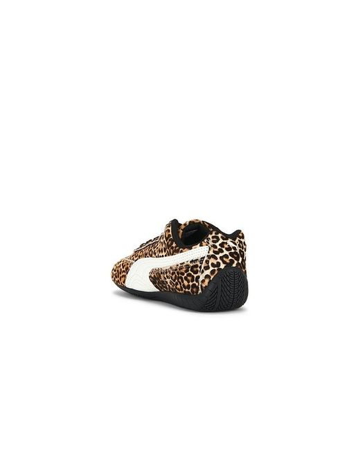 PUMA Multicolor Speedcat Sneaker