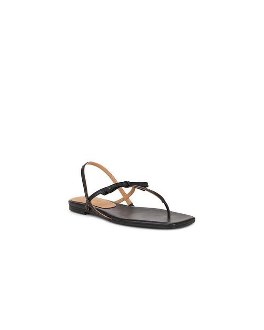 Flattered Black Sina Sandal