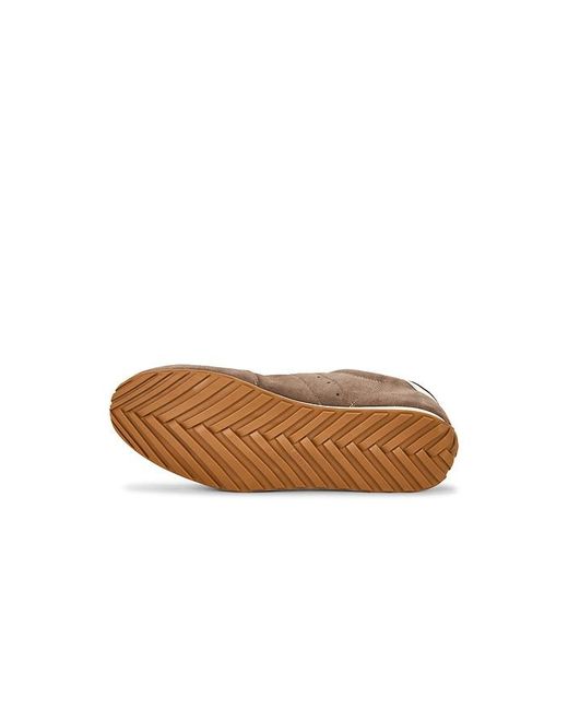 AllSaints Brown Liam Low Top for men