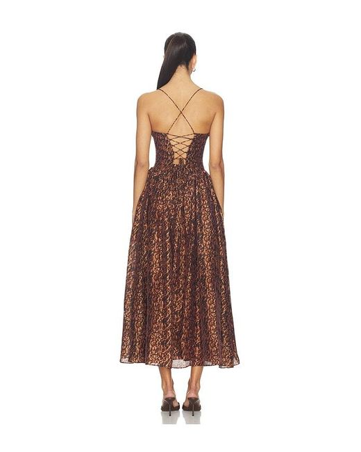 Bardot Brown Estie Printed Maxi Dress