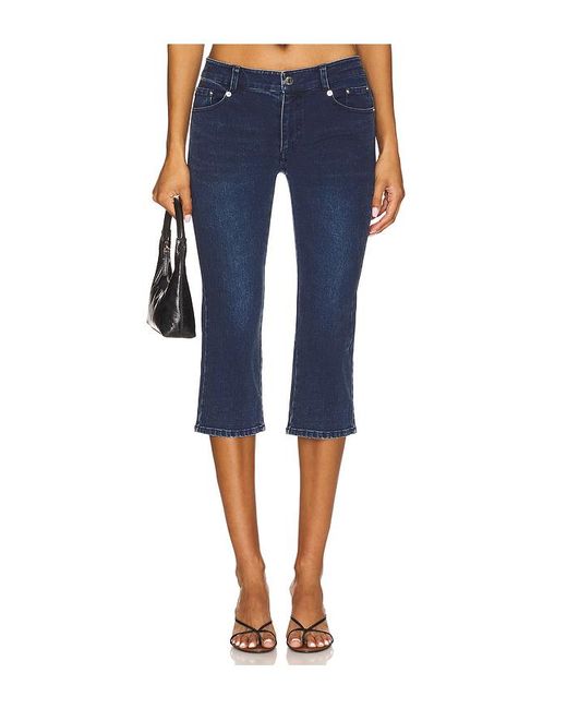 Miaou Blue Hose Kelly