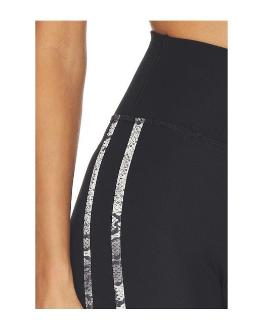 Strut-this Black The Sutton Legging