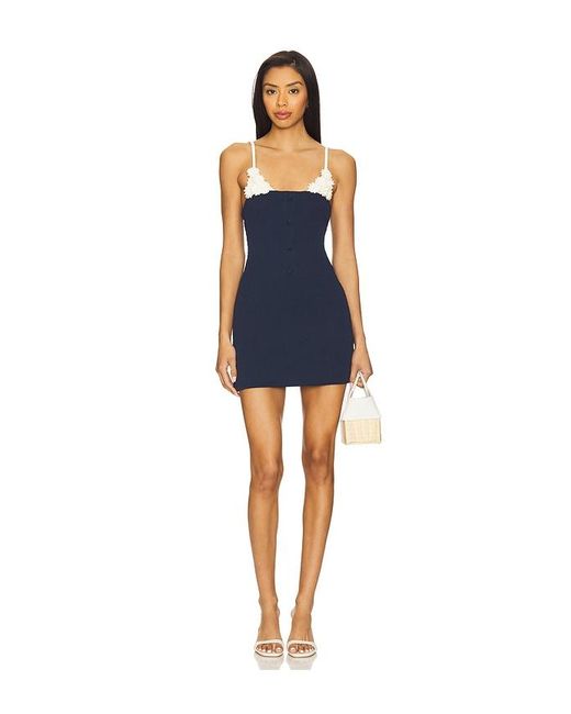 Devon Windsor Blue Hayes Dress