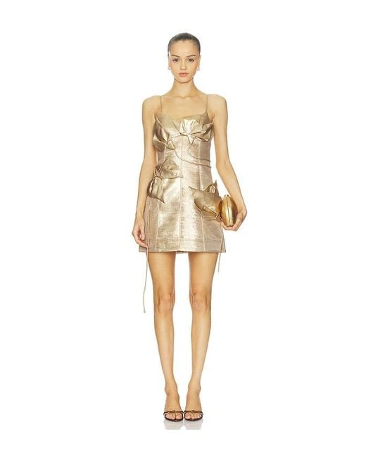 Acler Women's Natural Hillsome Mini Dress