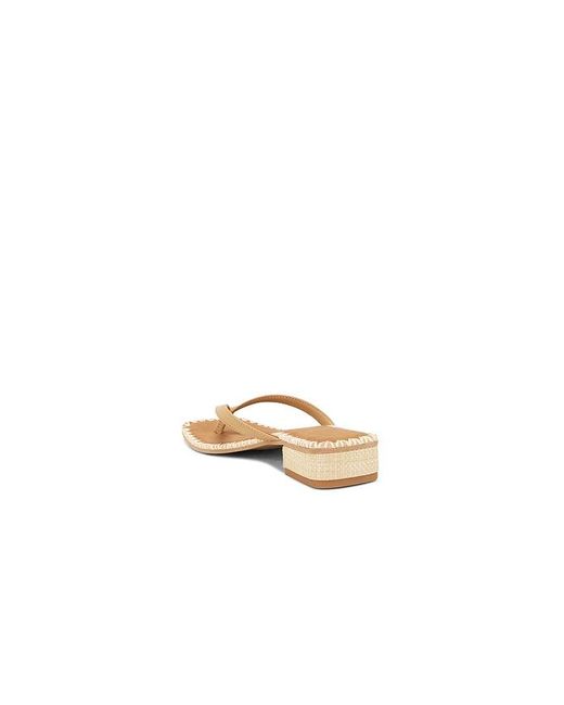 Dolce Vita Multicolor Barty Sandal