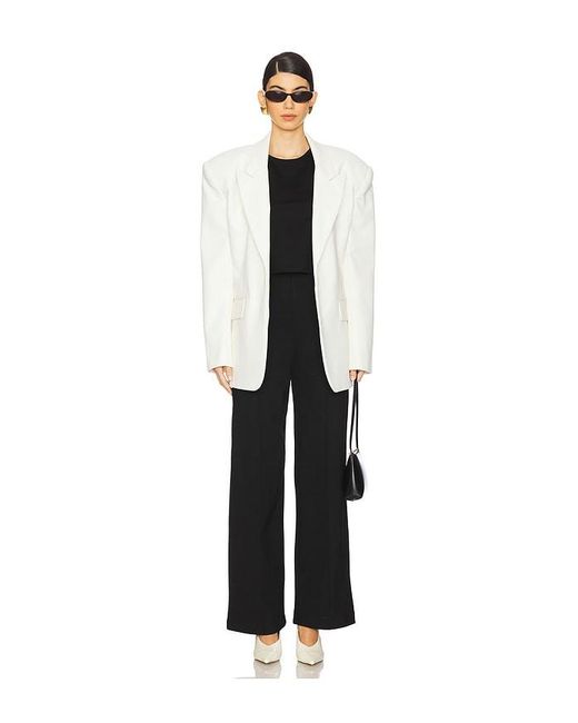 Ripley Rader Black Ponte Knit Straight Leg Pant