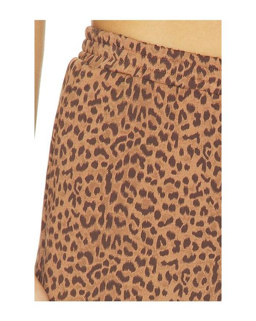 The Upside White Javan Darcy Short