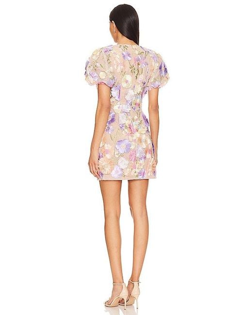 Elliatt Multicolor Anthea Dress