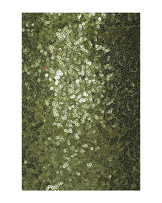 Zhivago Green Illusion Survives Love 2 Pc Mesh Gown