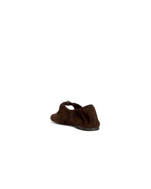 Dolce Vita Brown Cornel Flat