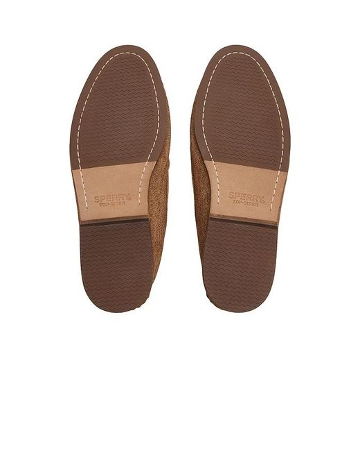 Sperry Top-Sider Brown X Colbo Ao for men