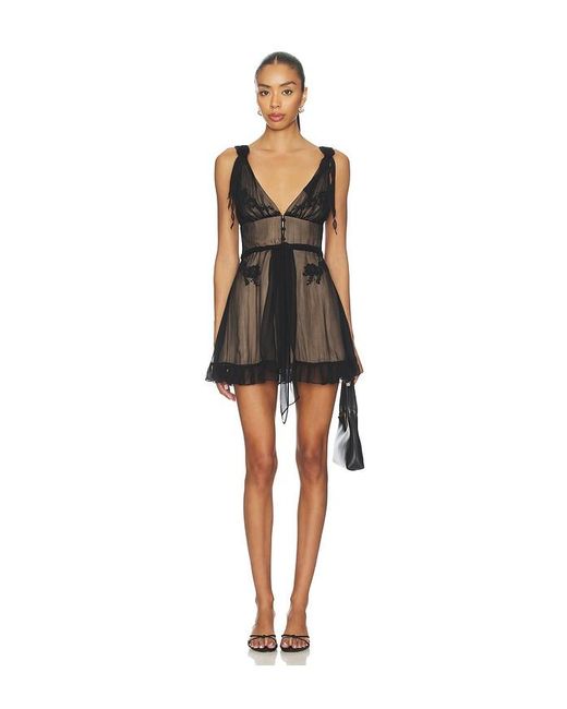 Mirror Palais Black Nightcap Mini Dress