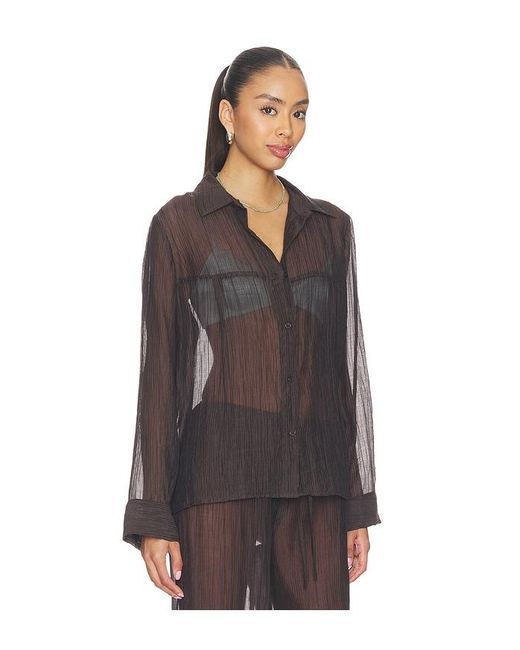 LNA Black Sylvee Sheer Button Up