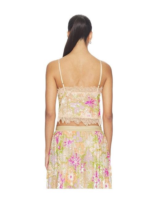 Le Superbe Multicolor Flori Culture Cami