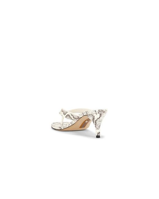 Sam Edelman White Amie Sandal