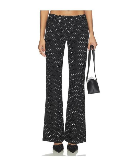 Tiger Mist Black Kittie Pant