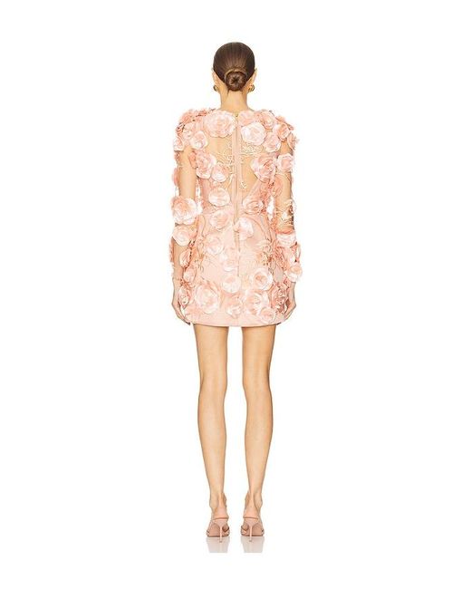 Zhivago Pink Aonia Mini Dress