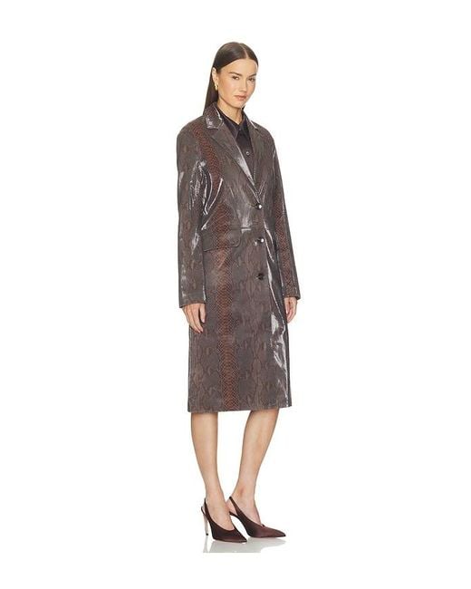 Paris Georgia Multicolor Classic Leather Jacket