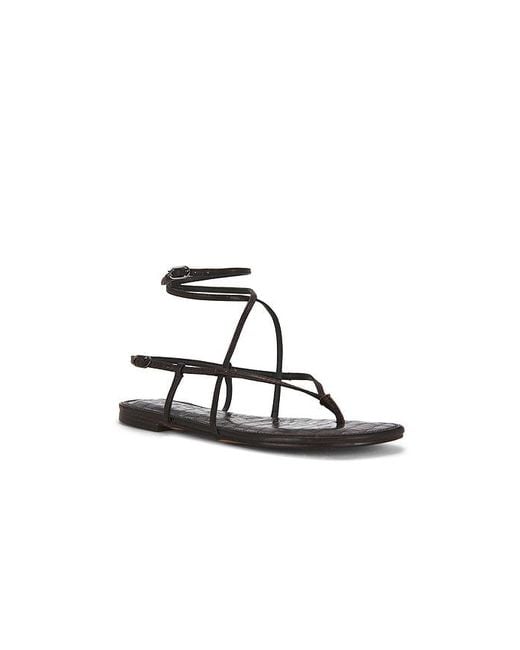 Sam Edelman Multicolor Clarra Sandal