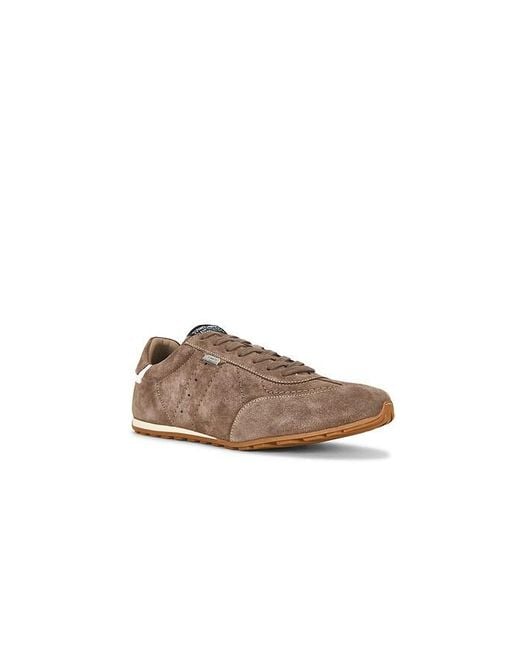 AllSaints Brown Liam Low Top for men