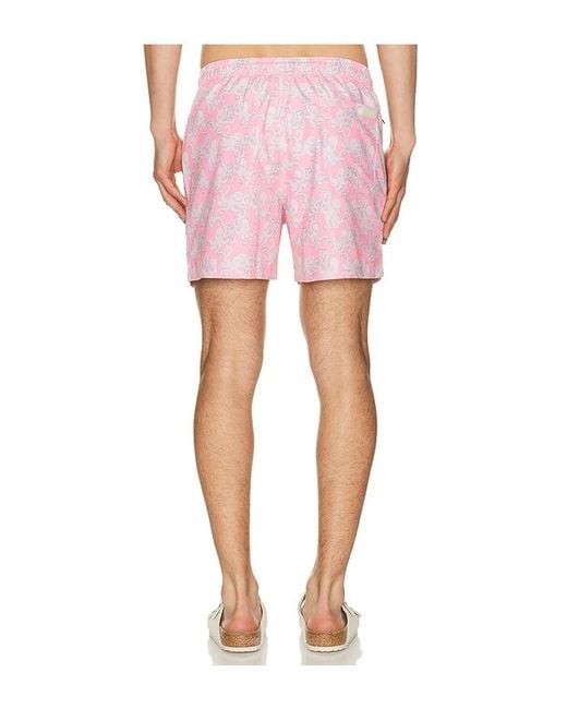 Oas Pink Octo Swim Shorts for men
