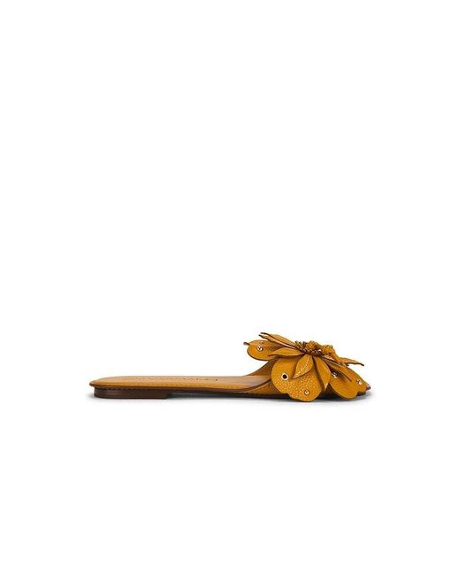 Zimmermann Metallic Brightside Slide