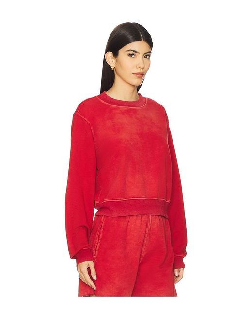 Cotton Citizen Roma クルー Red