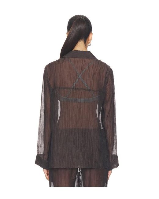 LNA Black Sylvee Sheer Button Up