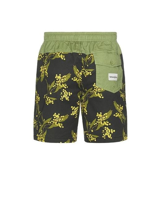 Critical Slide Green Acarcia 17 Swim Trunk for men