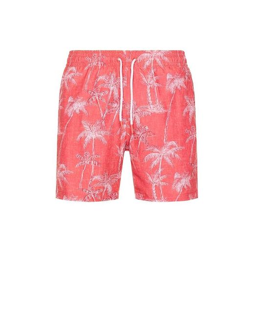 メンズ Trunks Surf & Swim Sano スイムショートパンツ Pink