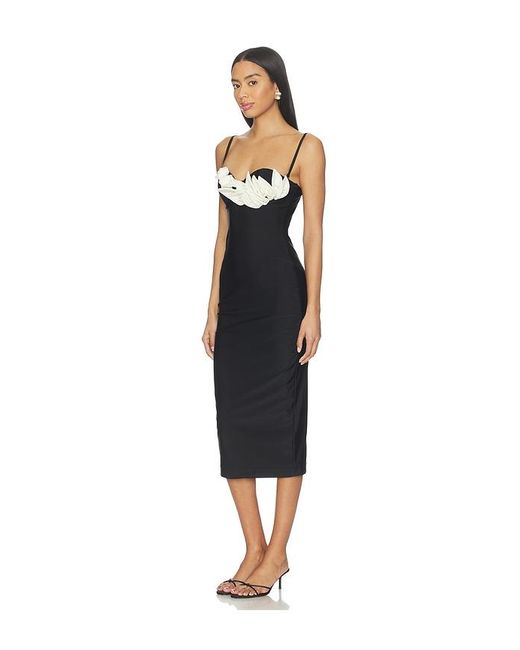 PATBO Black Selene Mesh Flower Applique Midi Dress