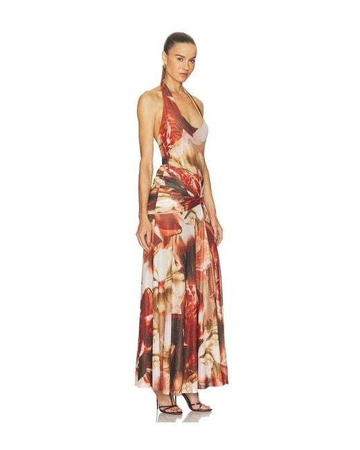 Bardot White Sariba Halter Mesh Midi Dress