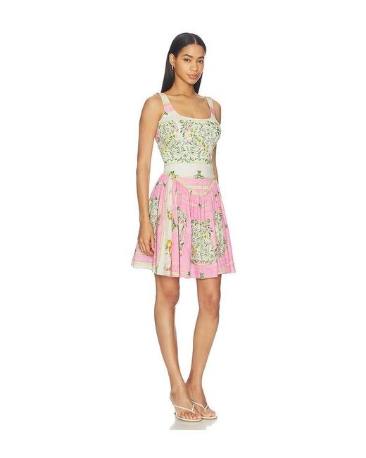 FALGUNI SHANE PEACOCK Red Cotton Lycra Short Dress