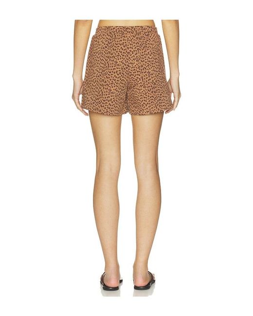 The Upside White Javan Darcy Short