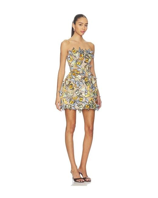 Bronx and Banco Natural Bella Butterfly Maraya Strapless Mini Dress