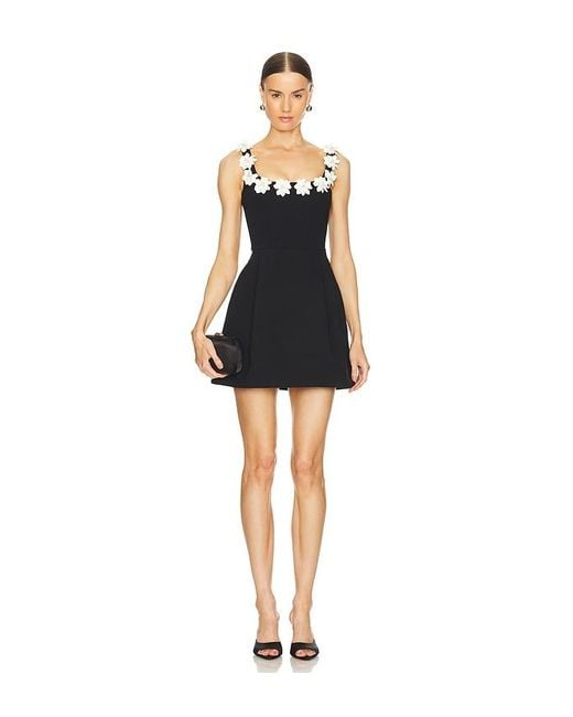 Nadine Merabi Black Cindy Monochrome Dress
